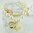 Ailisha Bracelet/Watch Pearls & Pendants White/Gold