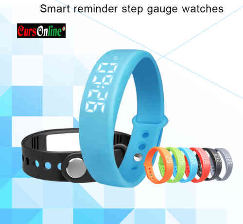 Smart Reminder 3D Pedometer Sleep Monitor+Alarm/Gray