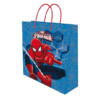 Spider-Man Bag Perfect Idea for Your Gift