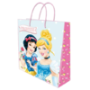 Disney Princess Bag - Perfect Idea for Your Gift