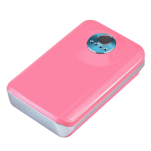 8000mAh Power Bank With Two Usb & Led Light 'Pink'