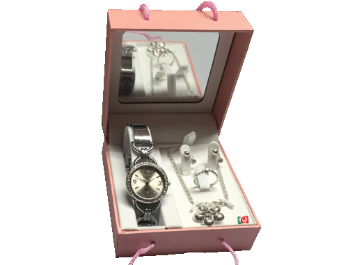 Silver Watch/Jewellery Gift Set for Ladies/Girls '5 pcs total'